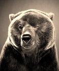 Аватар користувача